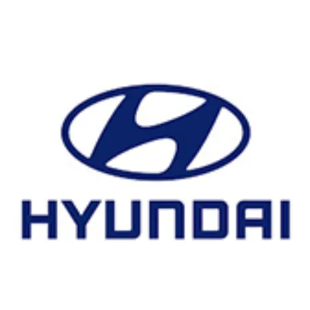 Picture for category Hyundai Boehydis