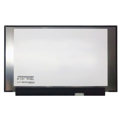 For B156HAN12.0 HW1B 15.6″ Full HD (FHD) 1920x1080 300Hz Display