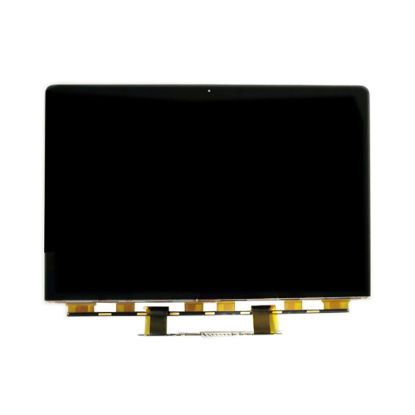 For MacBook Pro 13" A1708 A1706 A1989 A2159 EMC 2978 3164 LED LCD Display Only (No Frame)