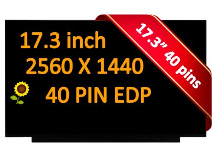 40 Pin 165Hz 2560x1440 NE173QHM-NY1 NE173QHM-NY2 17.3" IPS LCD Screen Display