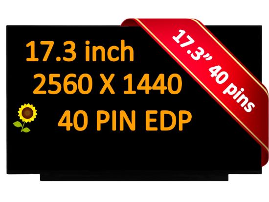 40 Pin 165Hz 2560x1440 NE173QHM-NY1 NE173QHM-NY2 17.3" IPS LCD Screen Display