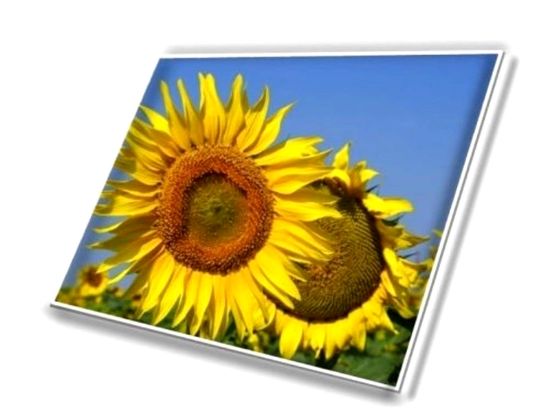 40 Pin 165Hz 2560x1440 NE173QHM-NY1 NE173QHM-NY2 17.3" IPS LCD Screen Display
