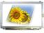 15.6 LED LCD Screen for HP 15-P214DX 15-P214TX 15-P214 15-P226TX 15-P226 Laptop