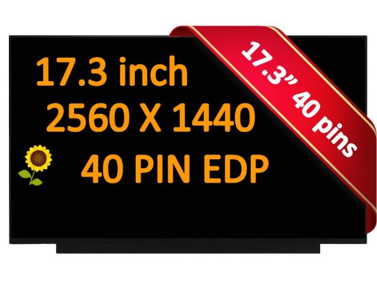 Asus Rog Strix G713QR-ES96Q 17.3" QHD LCD Screen Display Panel 165Hz 2.5K