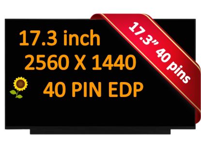 NE173QHM-NY4 NY6 Y7 NE173QHM-NY2 NE173QHM-NY1 Y3 40pin QHD165Hz Screen 100% sRGB