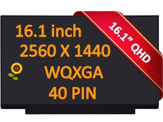 NE161QHM-NZ1 V8.0 HP Victus 16-r0000 16-s1000 QHD Non Touch Screen N42534-001