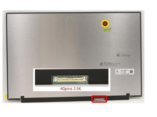 16" B160QAN02.Z 0RHJNF Dell G16 7630 7635 WQXGA Non Touch Display 165HZ 40 Pin