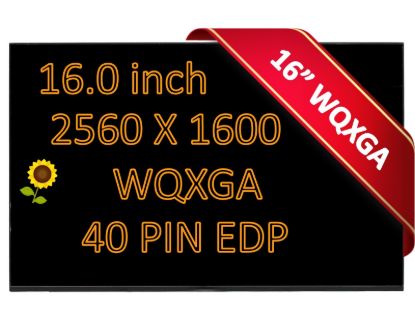 B160QAN03.N 16.0" WQXGA 2560x1600 Laptop LED LCD Screen Replacement Panel