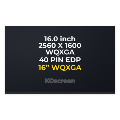 Acer Predator Helios PH16-71 LCD Screen Display Panel KL.1600D.004 - front